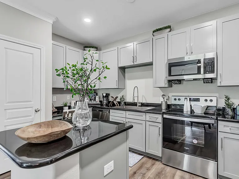 Modern Kitchen & Appliances