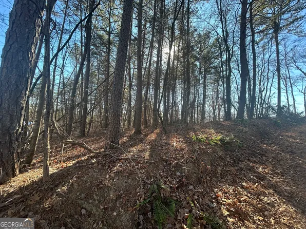 0 Highland Tree Ct, Ranger, GA 30734