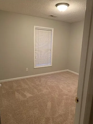 100 Castlebury Creek Ct — Photo 11