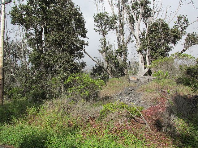 2nd image of Koa Ln Lot 21