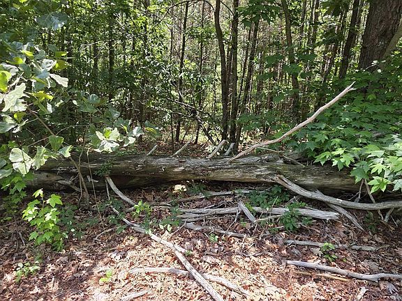 3rd image of 455AC County Road 730