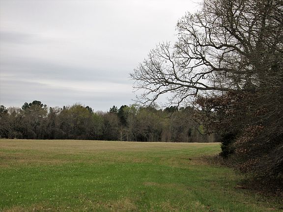 4th image of 14031 Fm 315 N