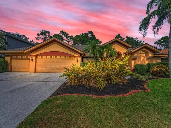 4133 Auston Way, Palm Harbor, FL 34685