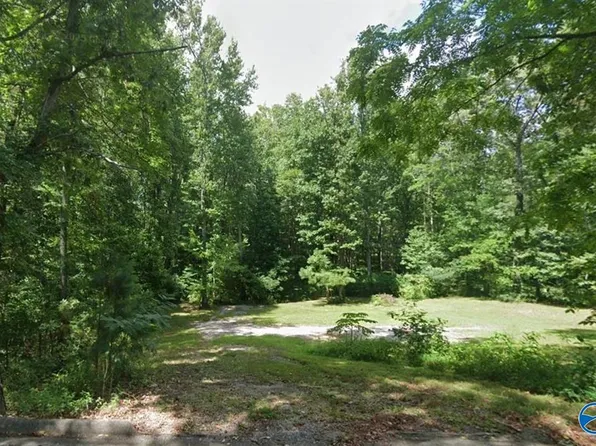 128 Lynns Dam Rd, Union Grove, AL 35175