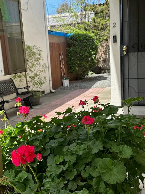 3 bed, 1100 sqft, $3,250 — Photo 3