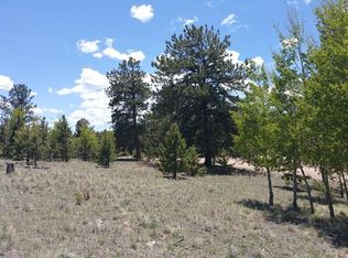 10373 Ranch Rd, Hartsel, CO 80449