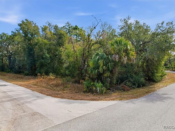 4th image of 9659 N Cacalia Dr