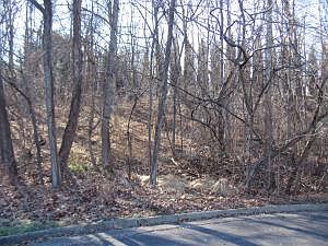 2nd image of 1744 Kingsmill Dr