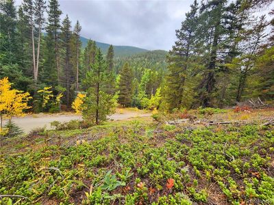 000 Old Little Bear Creek Road, Idaho Springs, CO, 80452