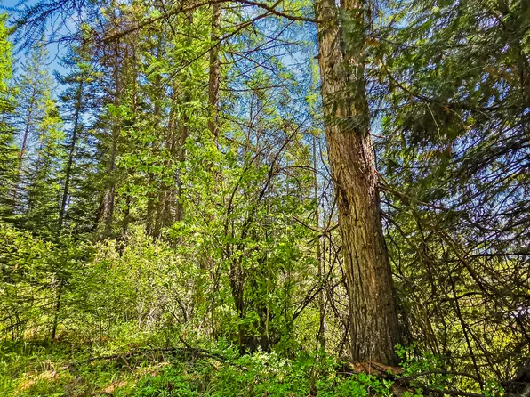 Nna Tanglewood Dr, Priest River, ID 83856