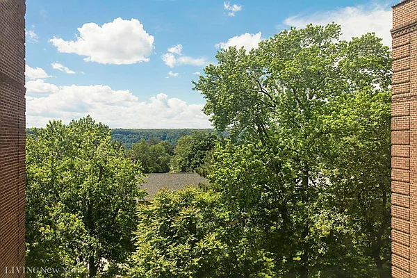 Rented by Living New York | media 14