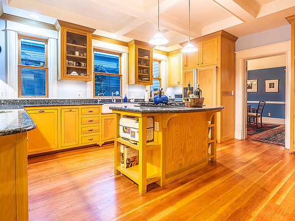 Gourmet island kitchen
