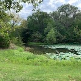 1 Old Decatur Rd, Decatur, TX, 76234