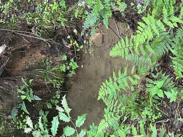 2nd image of 0 Gumlog Rd