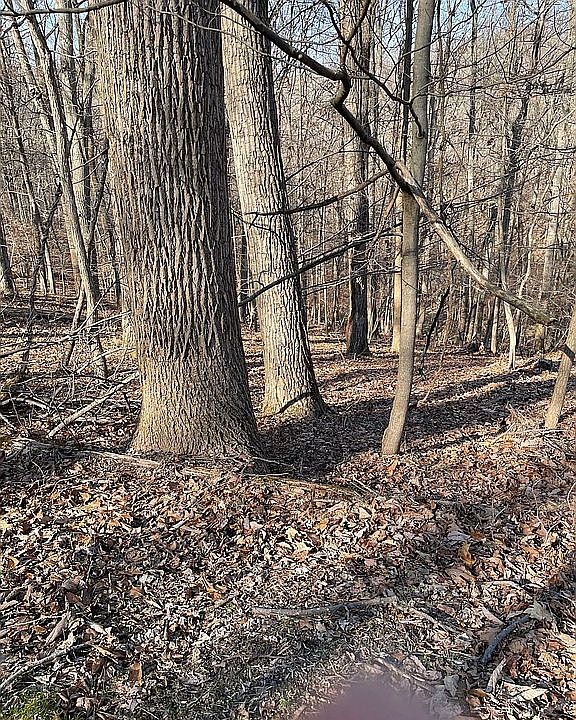 1st image of 18 Shaded Glen Cres