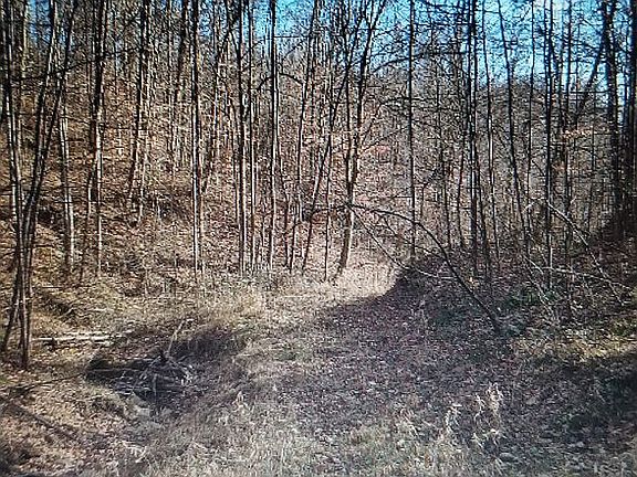 3rd image of 0 County Rd