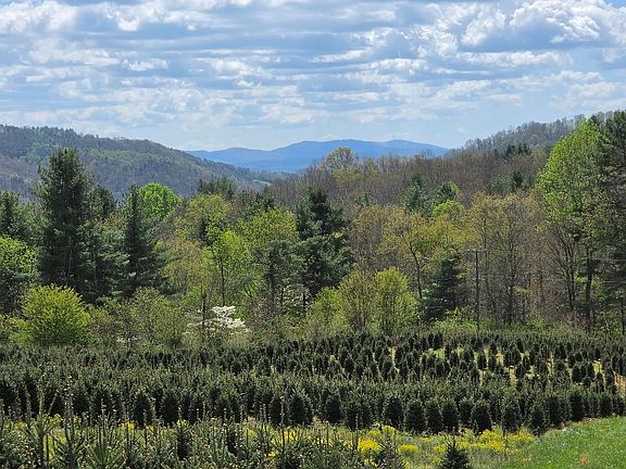 2nd image of Rabbit Fork Rd