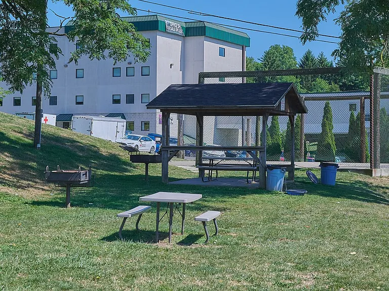 Pineview Apartments — Photo 15