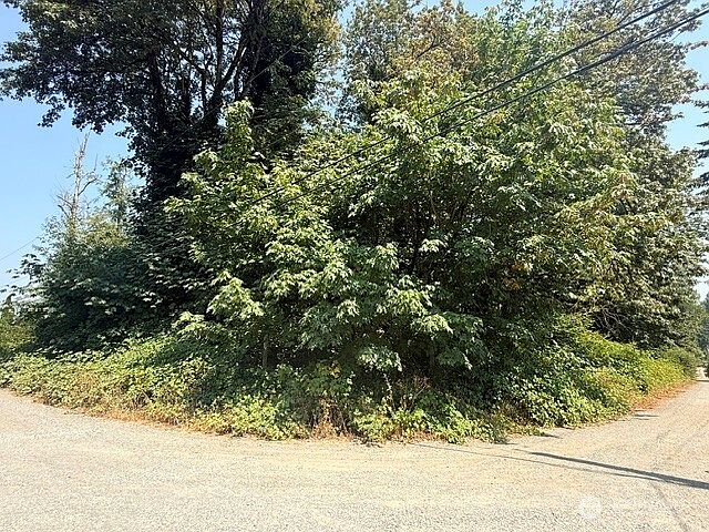 2nd image of 0 44th Avenue S