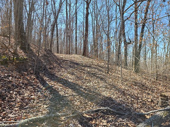2nd image of LOT 3 Highway 156
