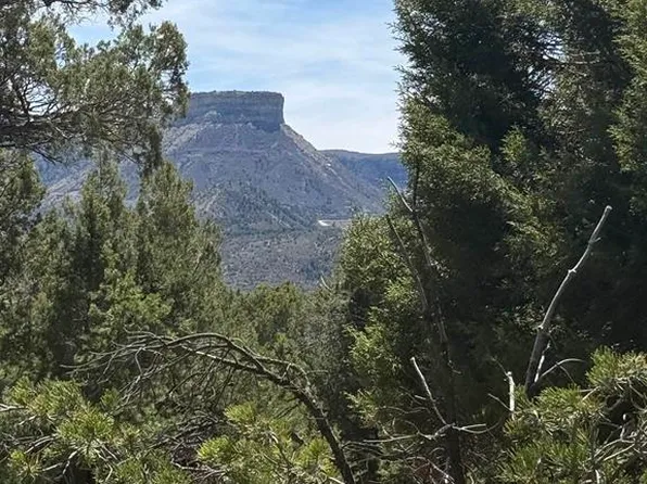 TBD J8 Road, Mancos, CO 81328