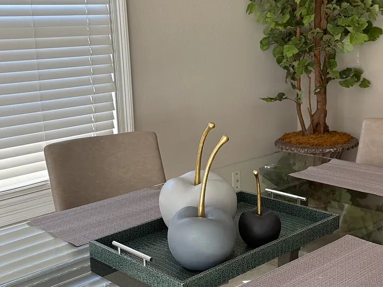 516 Sena Dr — Photo 7