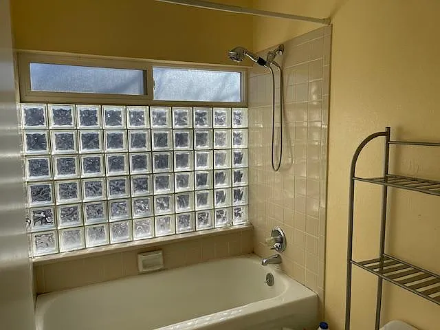 Main Floor bath shower