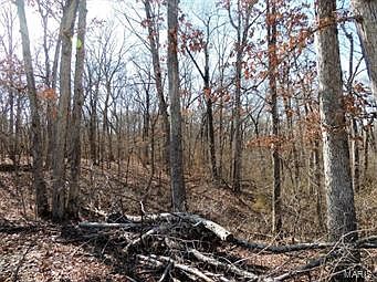 3rd image of 8 Acres Off Hwy #J