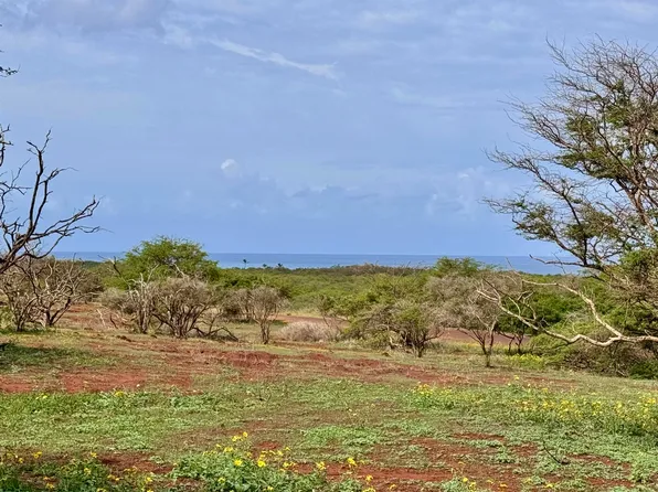 0 Pa Loa Loop #232, Maunaloa, HI 96770