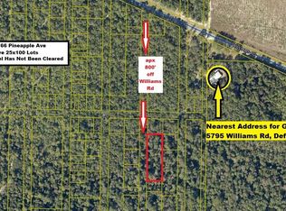 55-66 Pineapple Ave, Defuniak Springs, FL 32433