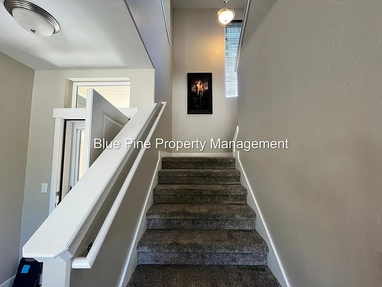 1188 Saddleback Ridge Ct — Photo 11