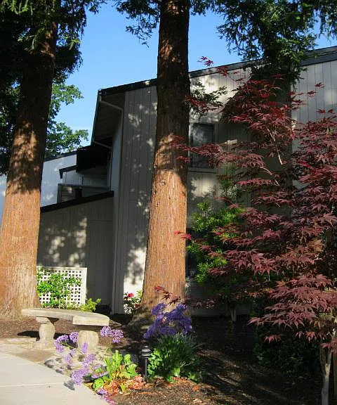 212 Brookdale Dr — Photo 11