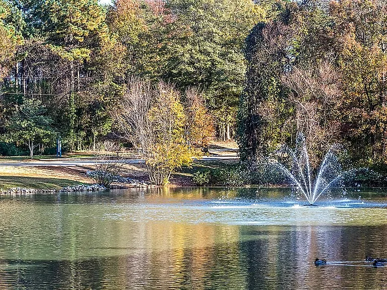 Lake with Fountain
