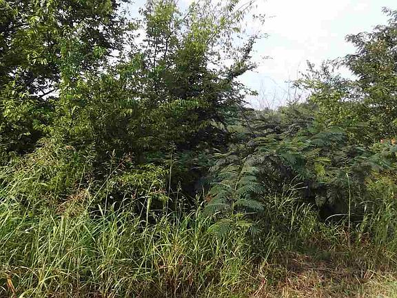 4th image of 375 Indigo Trl