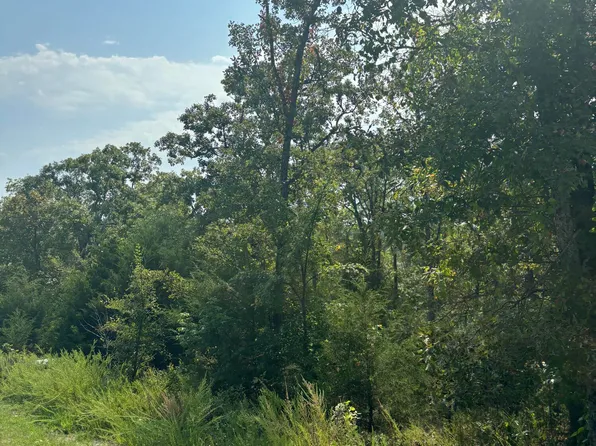 Lot #3 Fox Hollow Road, Branson West, MO 65737