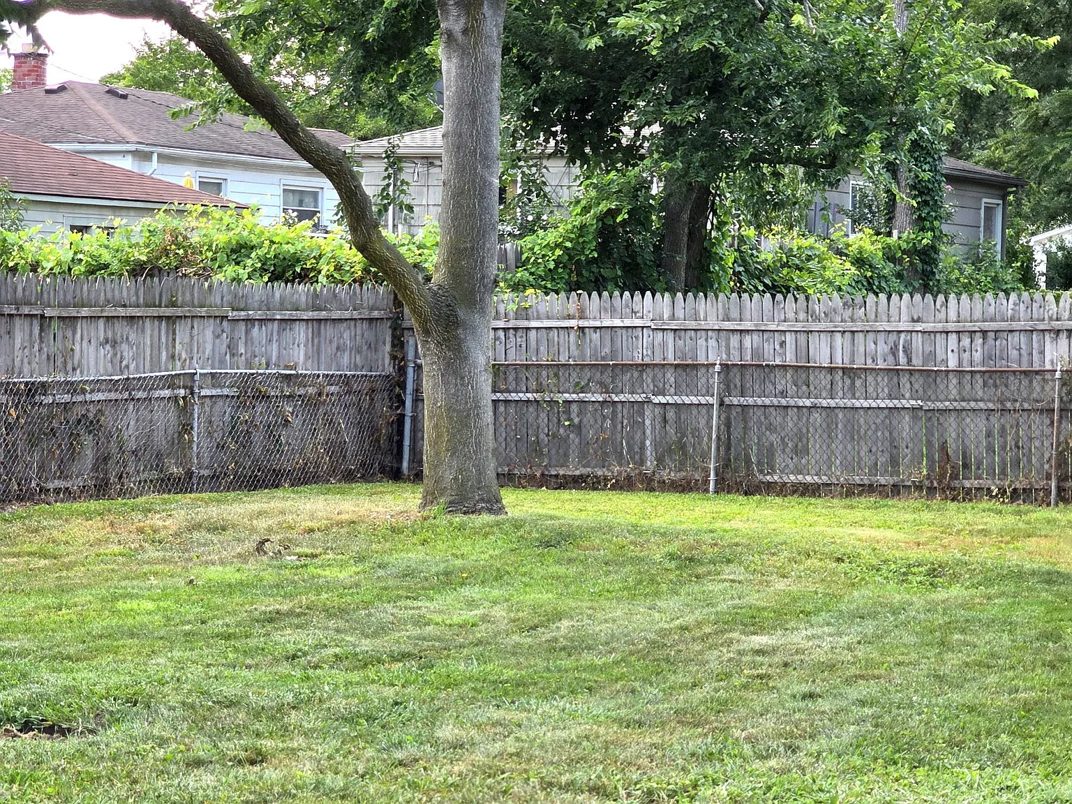 3 bed, 1008 sqft, $1,495 — Photo 4