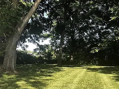 4 bed, 2500 sqft, $2,995 — Photo 2