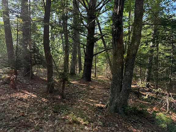 4th image of Lot 18B Waldoboro Road
