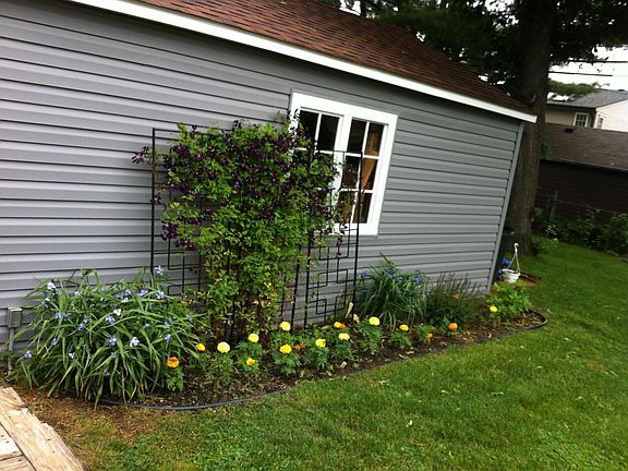 Backyard/Garage