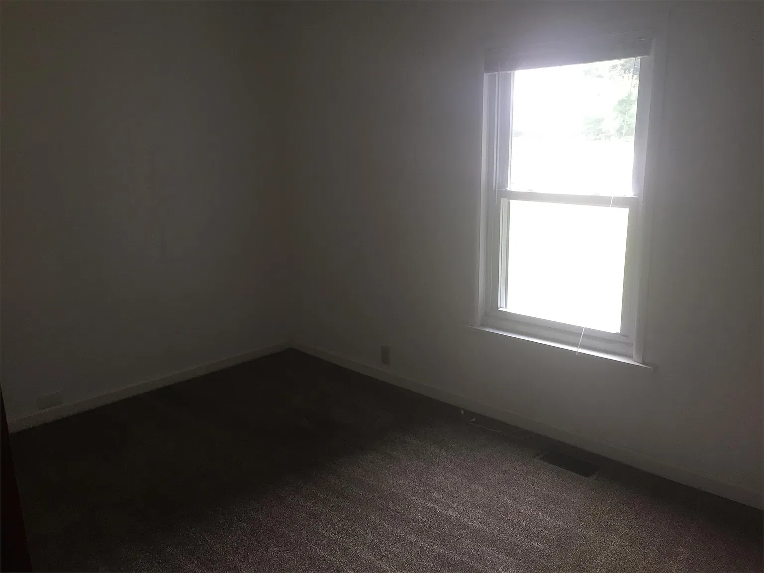 115 Woodward - 1 — Photo 4