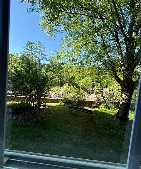View from Living room
