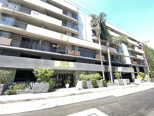 Hollywood Photo 1
