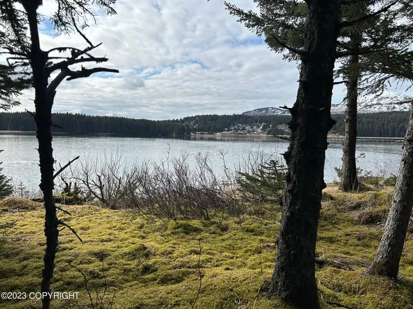 139 Kizhuyak Dr, Port Lions, AK 99550