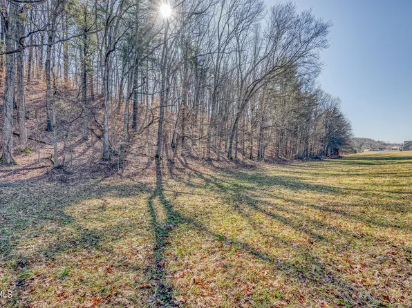 Tbd Cleveland Rd, Abingdon, VA 24211