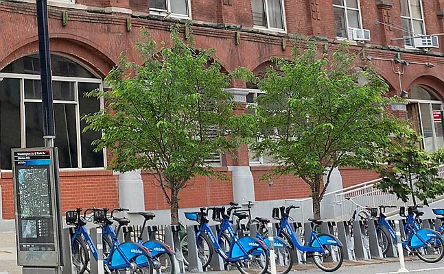 Rented by Corcoran | media 27