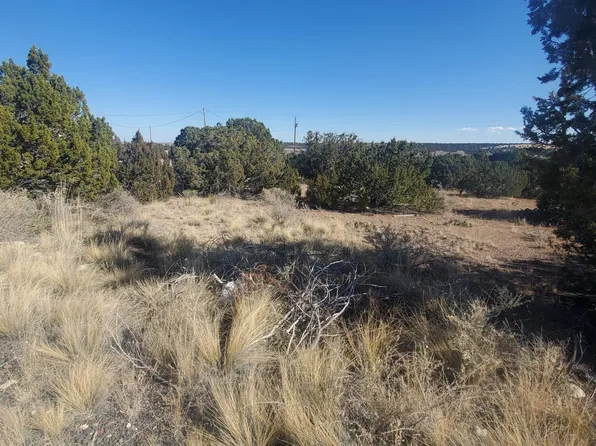 249 Orange Rock Rd, Concho, AZ 85924