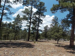 2968 Constellation Ln, Heber, AZ 85928