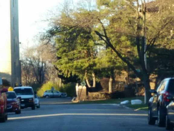 5th image of 10355 S Menard Ave #213