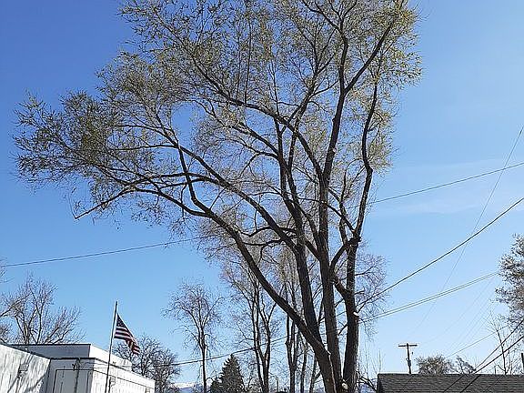 2nd image of 3424 Clay St