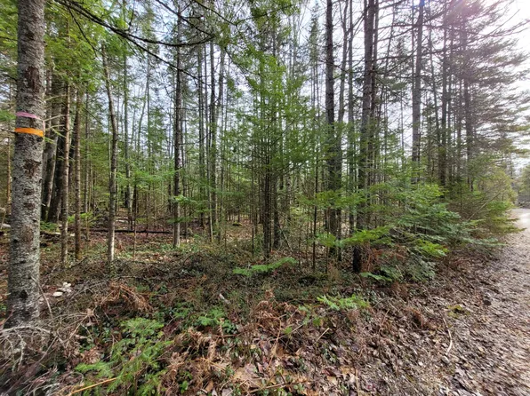 Lark Ln, Ocqueoc, MI 49759